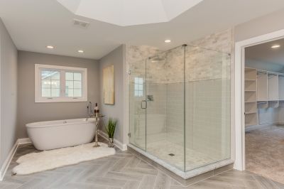 Glass Shower Door